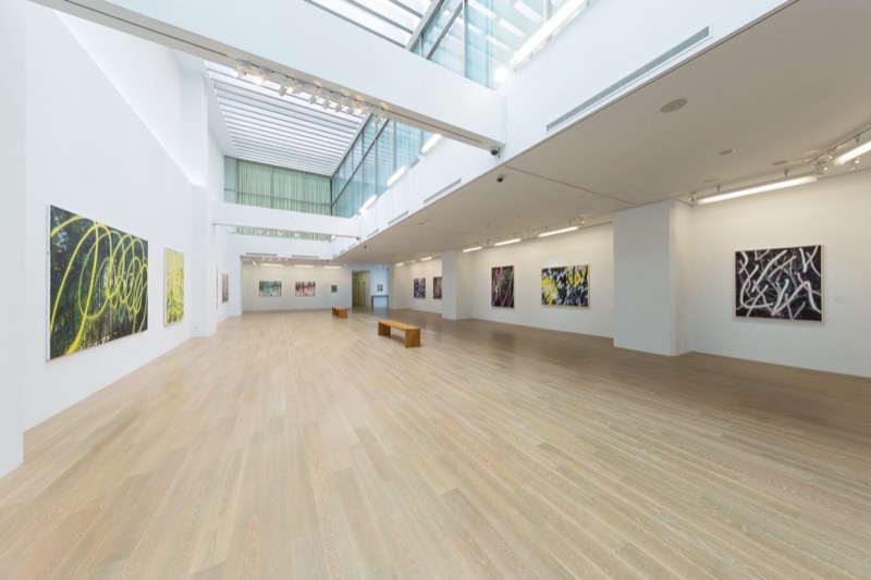Exhibition view, Accomplishing a Forest, 2017