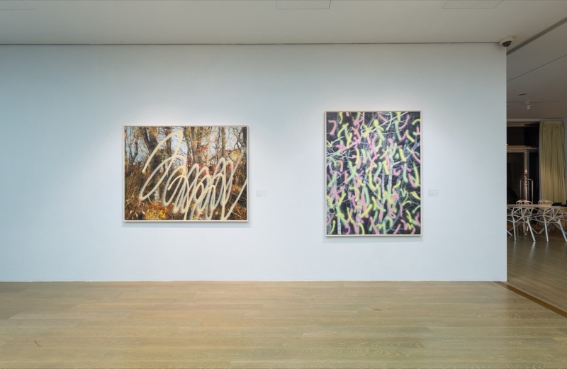 Exhibition view, Accomplishing a Forest, 2017